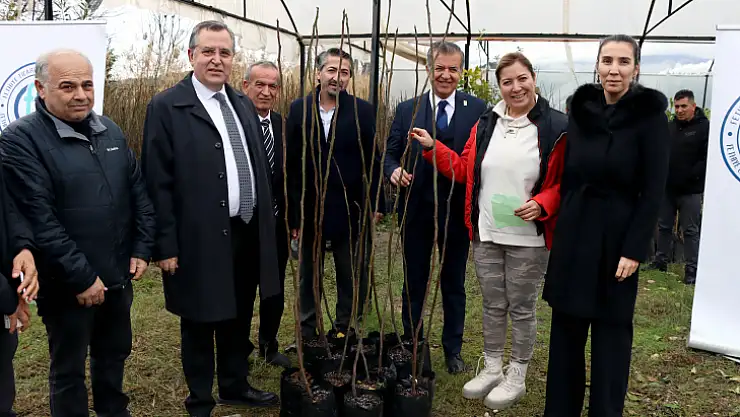 2500 FETHİYE KAYA İNCİRİ FİDANI ÜRETİCİLERE DAĞITILDI