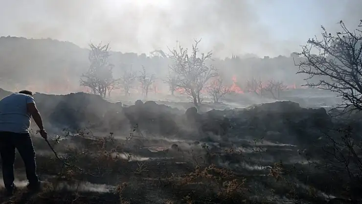 3 dönüm alan küle döndü