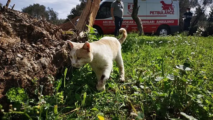 500 günde 5 bin vakaya müdahale edildi