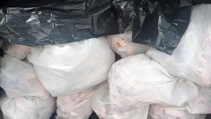 563 kilo kaçak et yakalandı