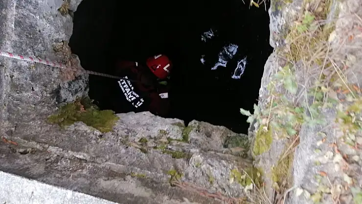 6 metrelik kuyuya düşen keçiyi itfaiye kurtardı