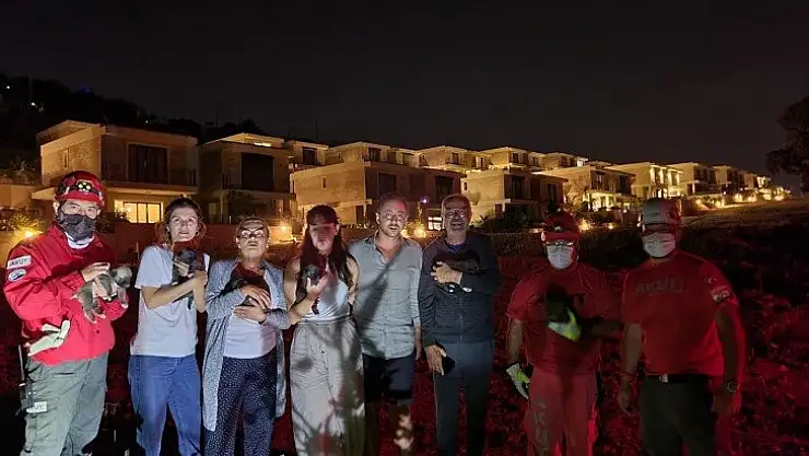 6 yavru köpek yağış öncesi kurtarıldı