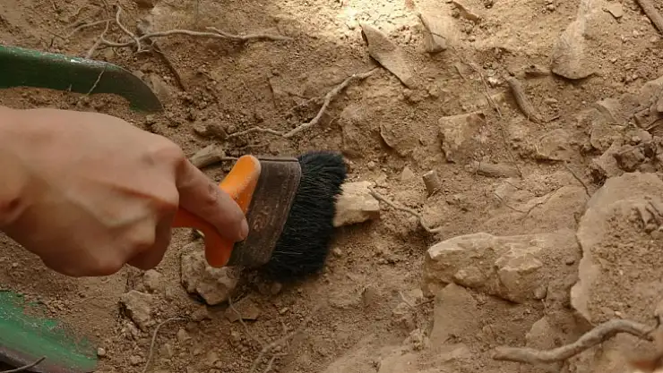 86 bin yıllık hayat izi