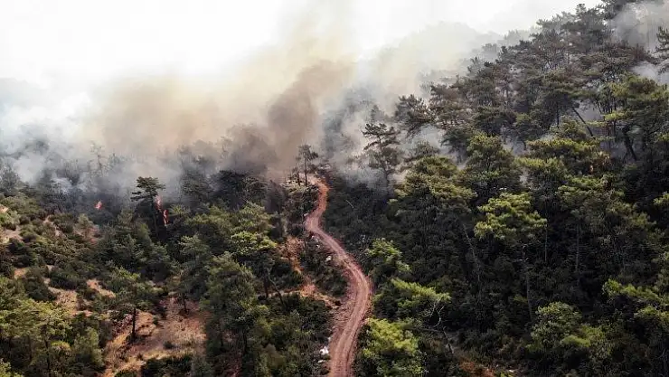 Acı tablo havadan görüntülendi, her yeri kaplayan dumanlar yürekleri dağlıyor