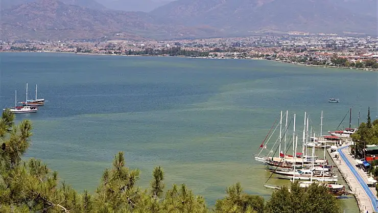 Ahmet Aras, 'Fethiye Körfezi'ni Temizlemeye Hazarız'