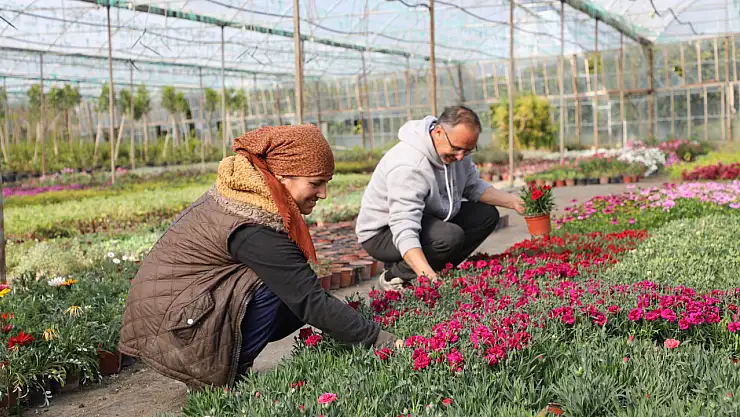 Alım Garantili Üretim Yerel Üreticiye Kazandırıyor, Kent Estetiğine Katkı Sağlıyor