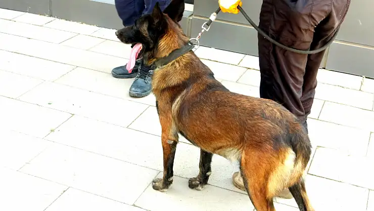 Alzaymır Hastası Kadın 8 Gündür Her Yerde Aranıyor