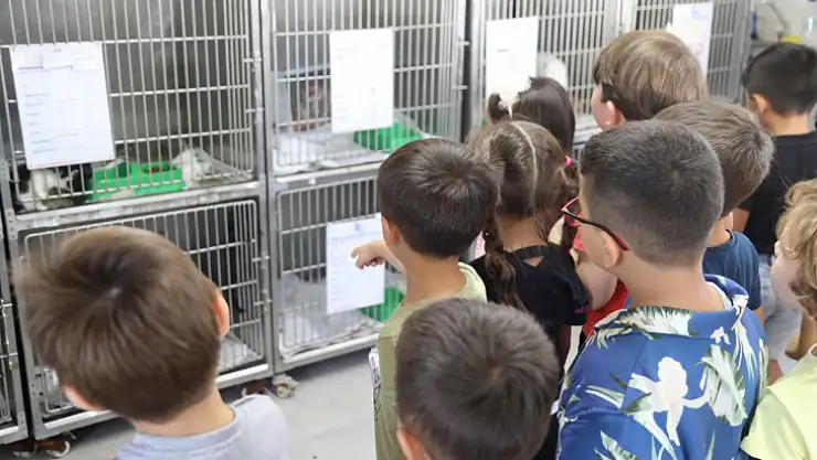 Anaokulu Öğrencilerinden Hayvan Bakımevin'e Ziyaret