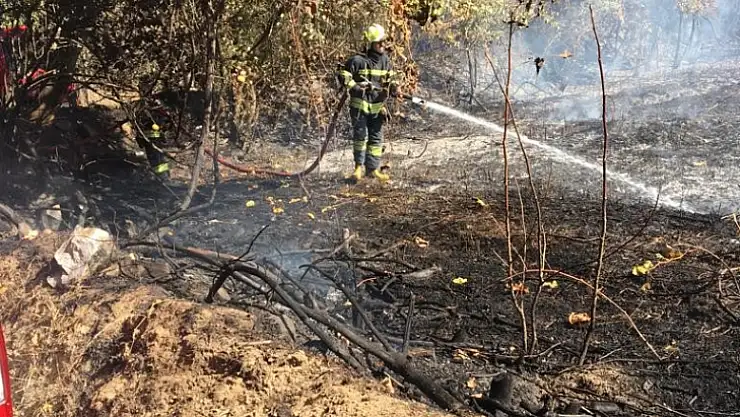 ANIZ YANGINI BÜYÜMEDEN SÖNDÜRÜLDÜ