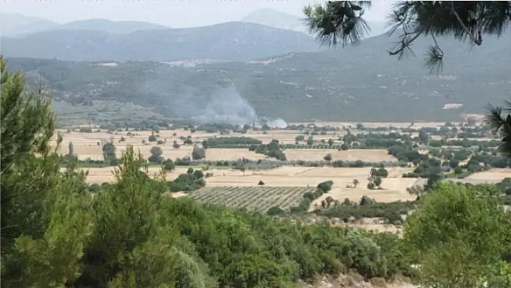 Anız yangını ormana sıçramadan söndürüldü