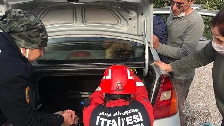 Arabanın hoparlör kabinine kafası sıkışan köpeği itfaiye kurtardı