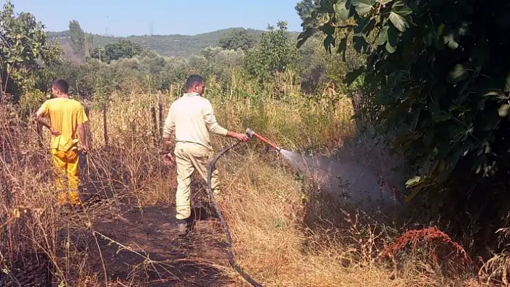 Arazi yangını büyümeden söndürüldü