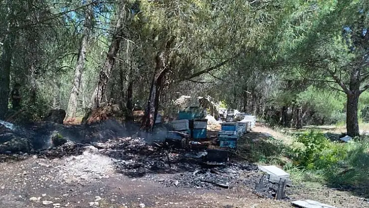 Arı kovanları yandı