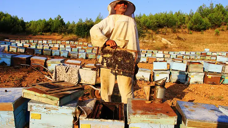 ARICILARA 'ERKEN BAHAR' UYARISI