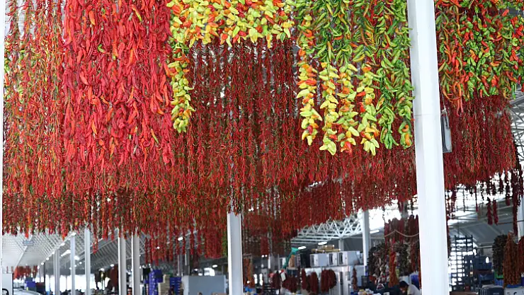 'Askıda kurutmalık' yok satıyor