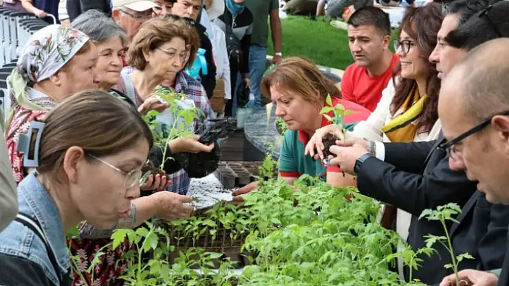 Ata tohumdan üretilen 20 bin fidan ücretsiz dağıtıldı