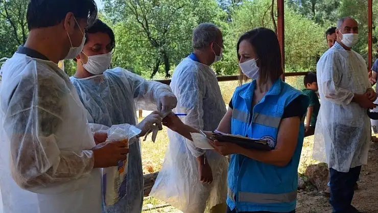 ATLARA ELEKTRONİK ÇİP UYGULANDI 