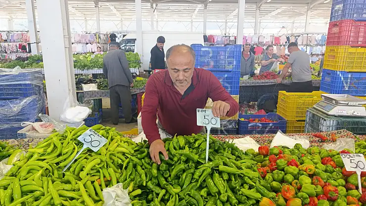 Ayat: 'Sebzelerdeki fiyatlar bu yıl uygun olur'