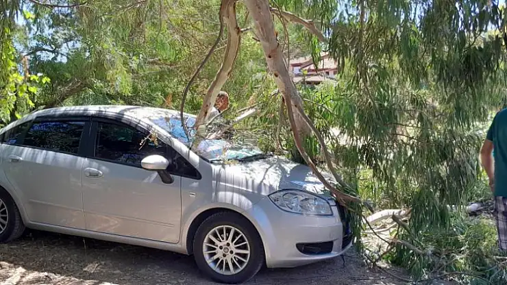 Azmak keyfi pahalıya patladı