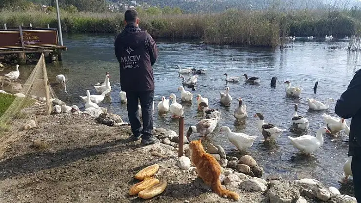 Azmak'ın Sembolleri MUÇEV tarafından beslendi