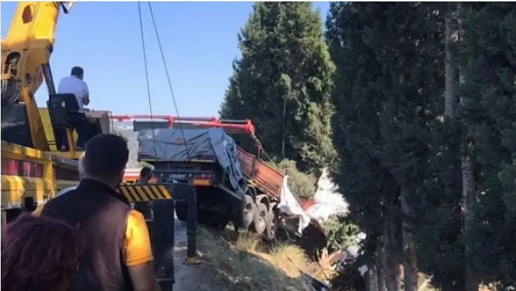 Balık yemi yüklü tır tarlaya uçtu