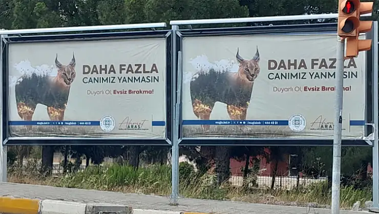 Başkan Aras'tan 'Orman'ın sırrı Karakulak'lı mesaj