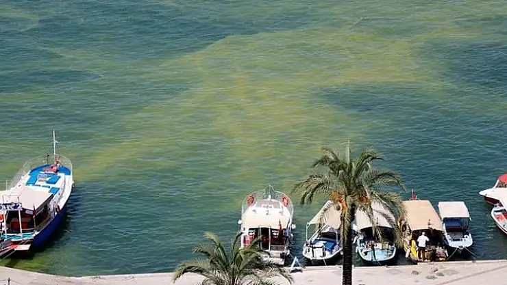 BAŞKAN DEMİR, 'NE OLMUŞ FOSEPTİK BİR HAFTA DENİZE AKTIYSA'