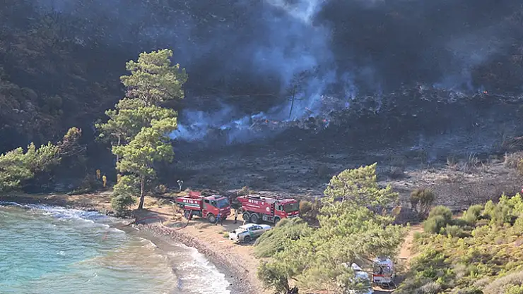 Başkan Ünlü Yangın Alanlarında İncelemelerde Bulundu