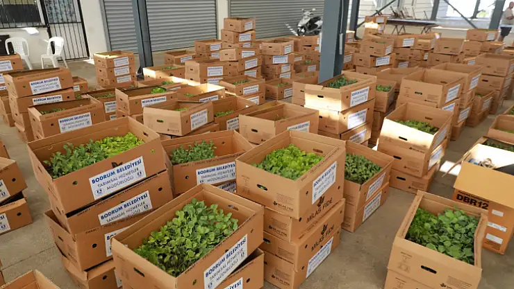 Belediyenin Yetiştirdiği Fideler Üreticiyle Buluştu