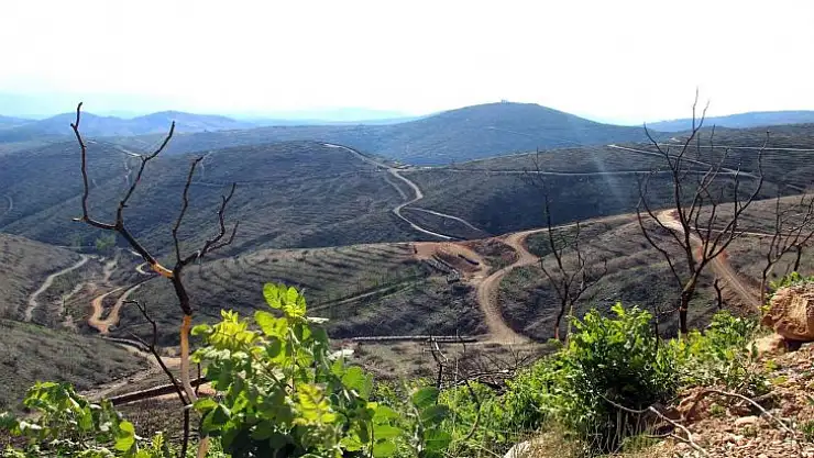 Bir yıl önce yanan saha havadan görüntülendi