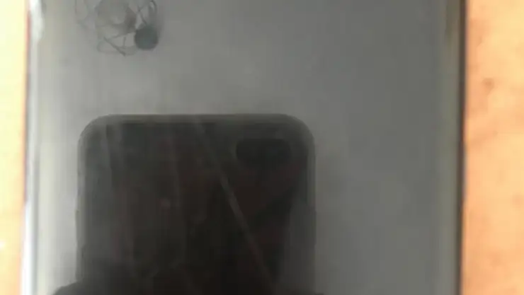 Birbirlerini dövüyorlardı, gazeteciyi fark edince ona saldırdılar