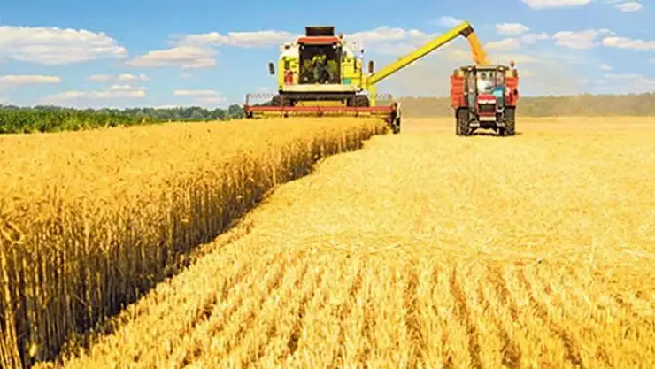 Bitkisel üretime destekleme ödemesi Resmi Gazete'de