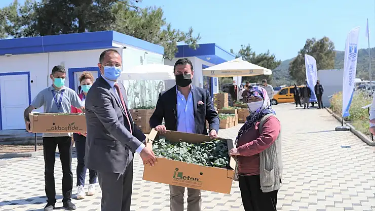 Bodrum Belediyesi 154 bin yazlık fideyi üreticilere hibe etti