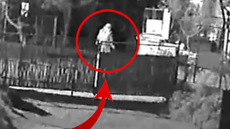 Bodrum'da 12 Hayvanı Zehirlediği İddia Edilen Şahıs Yakalandı