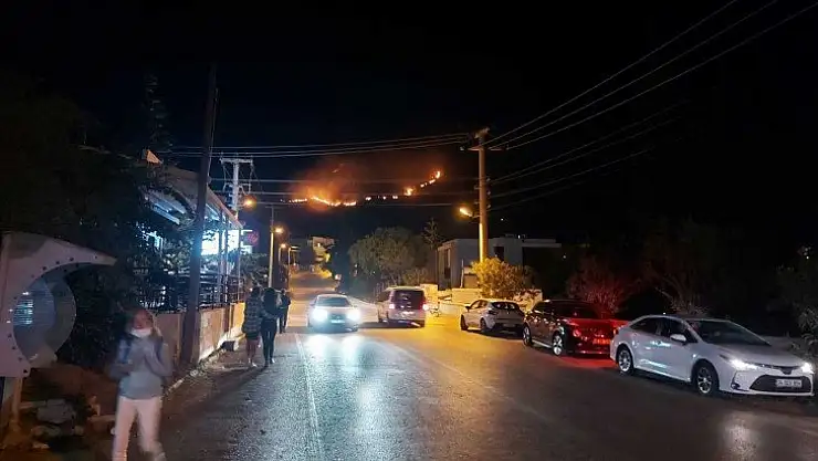 Bodrum'da 2 hektar alan yangında zarar gördü