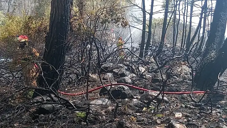 Bodrum'da çıkan yangınla ilgili 3 kişi tutuklanarak cezaevine gönderildi!