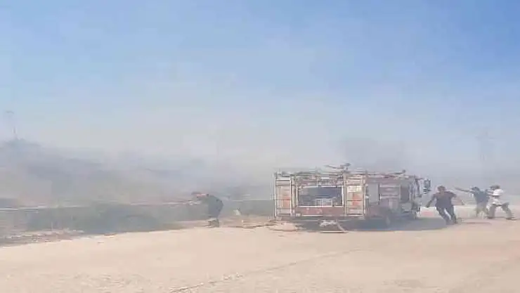 Bodrum'da makilik alanda yangın