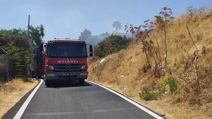 Bodrum'da otluk ve makilik alanda yangın çıktı