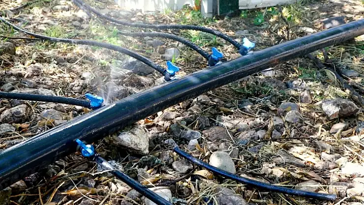 Bodrum'da tarımsal üretimde su tasarrufu