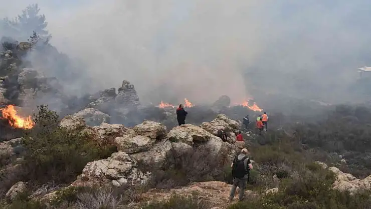Bodrum'daki orman yangını 6 saat sonunda kontrol altına alındı