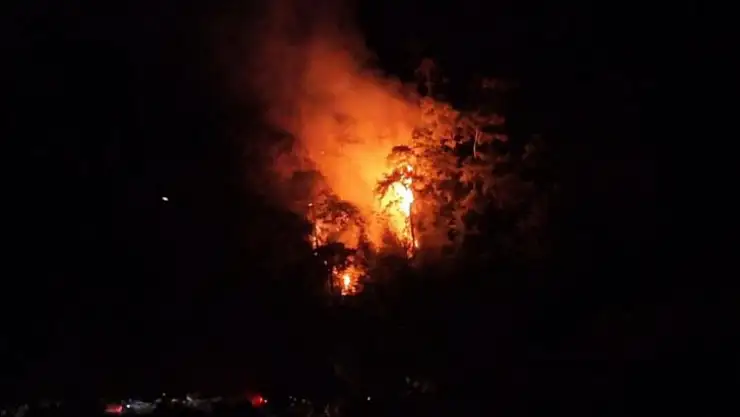 Bodrum'daki orman yangını büyümeden söndürüldü