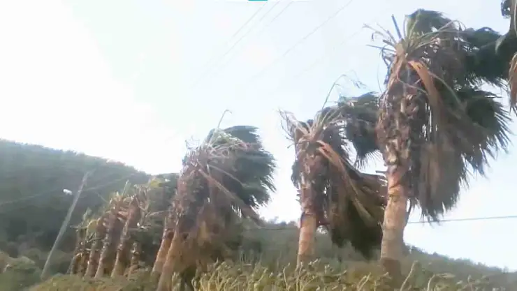 BODRUM-DATÇA ARASI FIRTINA UYARISI