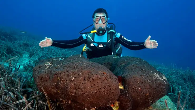 BODRUM'UN SUALTI ZENGİNLİKLERİ BELGESEL OLUYOR  