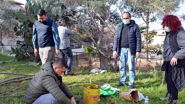 Bölgemizde Fethiye Kaya İnciri üretimi arttırılıyor