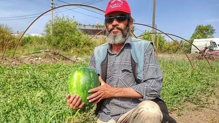 Bölgenin En Erkenci Karpuzu Fethiye'de Üretildi