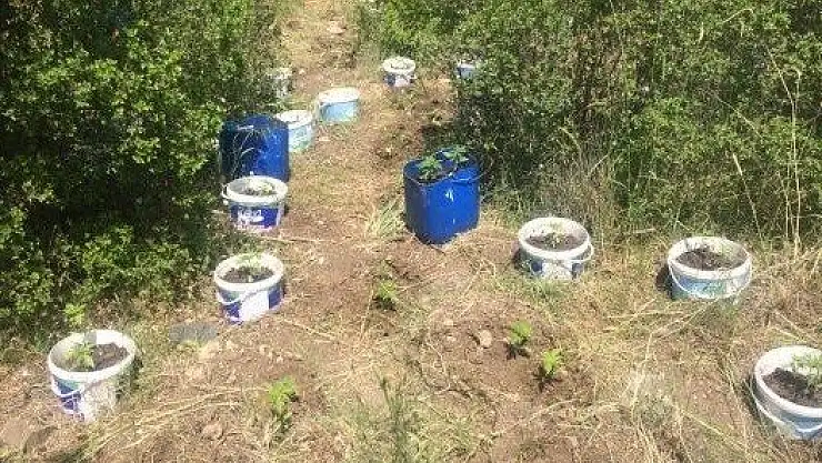 Bu Kadarda Olmaz, Mezarlığa Bile Diktiler