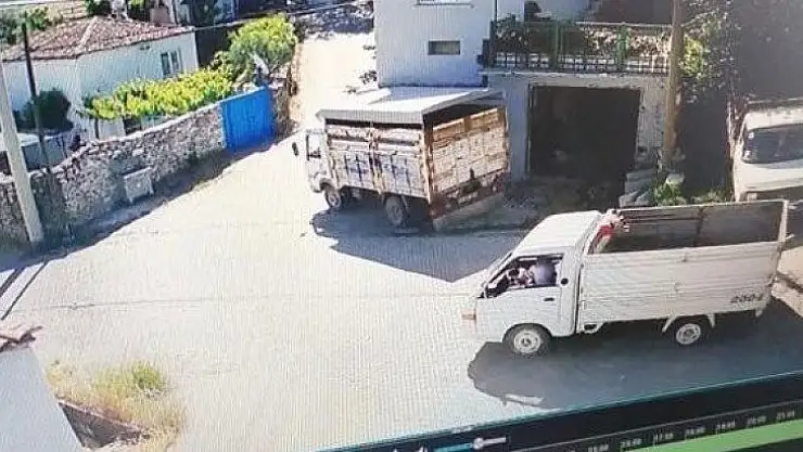 Bu kadarına da pes!