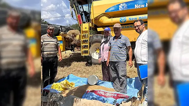 Buğday Hasadı Devam Ediyor, Çiftçiler Anız Yakımı Konusunda Uyarılıyor