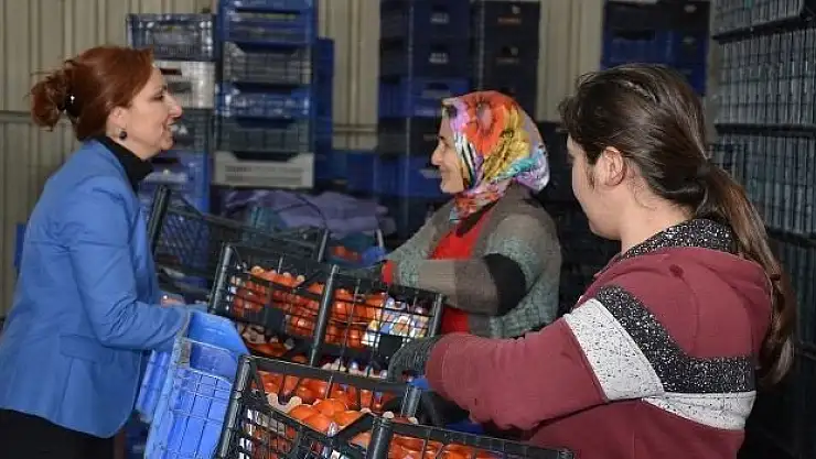 Bulut, 'En iyi domates Fethiye domatesi'