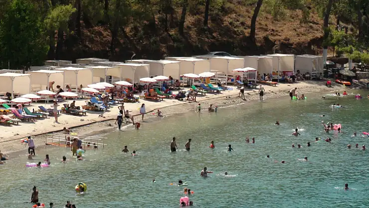 Büyük Samanlık Koyu yoğunluğuyla dikkat çekiyor